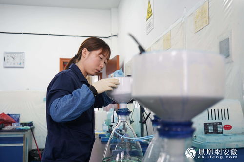 專注有機顏料研發，為宣城工業強市戰略增色添彩